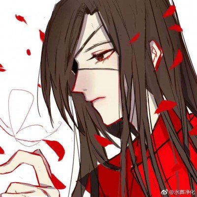 《浪姐》今日直播暂停